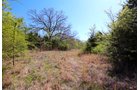Property photo 16 - LAND AUCTION - 153+/- ACRES OFFERED IN 6 TRACTS IN OKMULGEE, OKLAHOMA